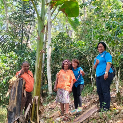 Challenges and opportunities for the Flores Island coffee industry
