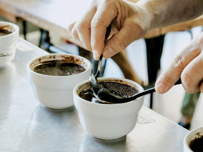 Sip Into The Cup: Tasting Notes