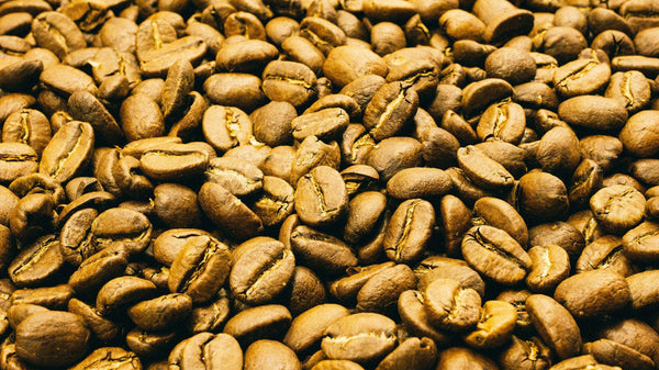 Sip Into The Cup: Roasting